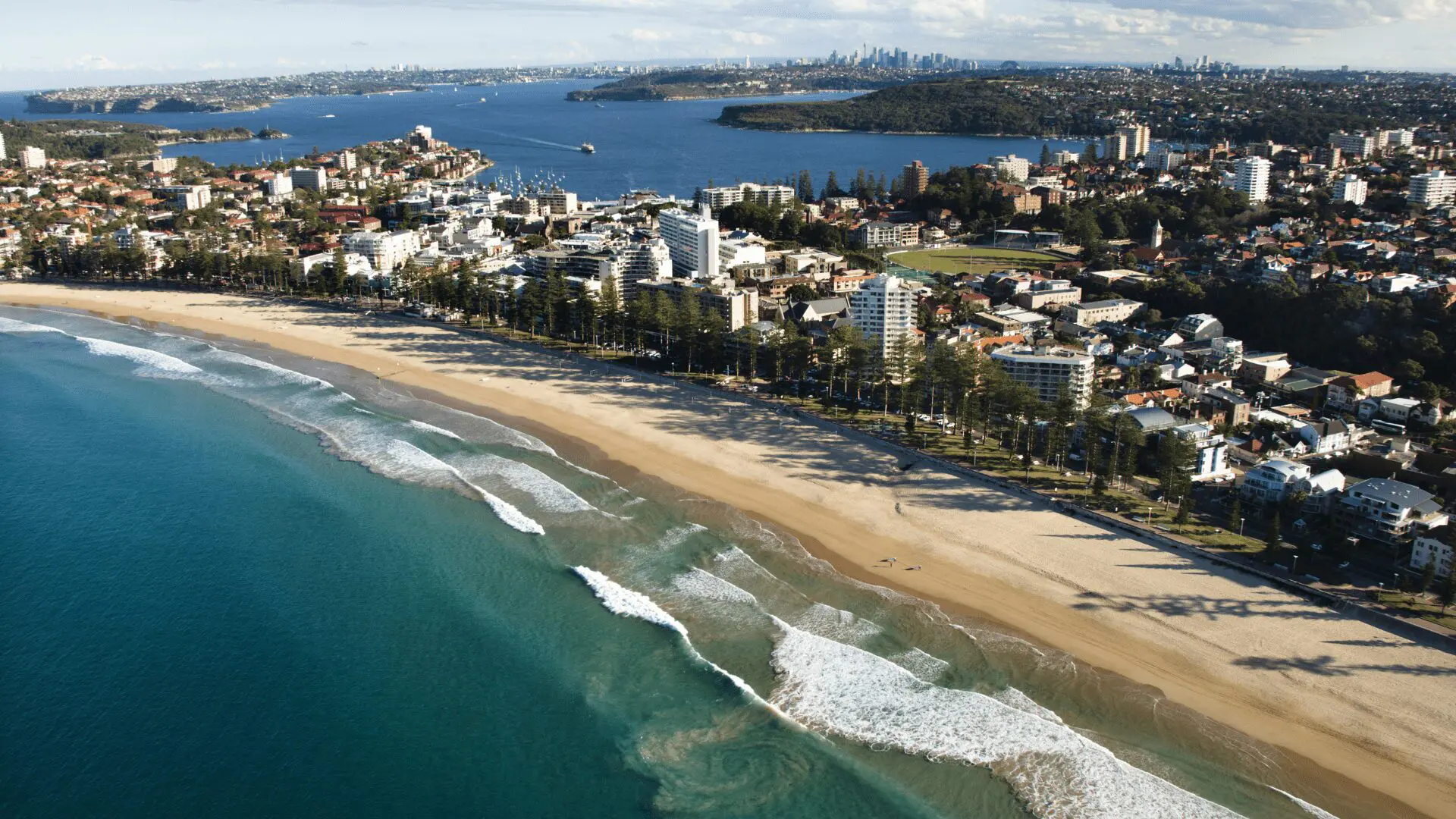 Manly Beach Aerial Photo Aerial Photo of Manly on the Northern Beaches