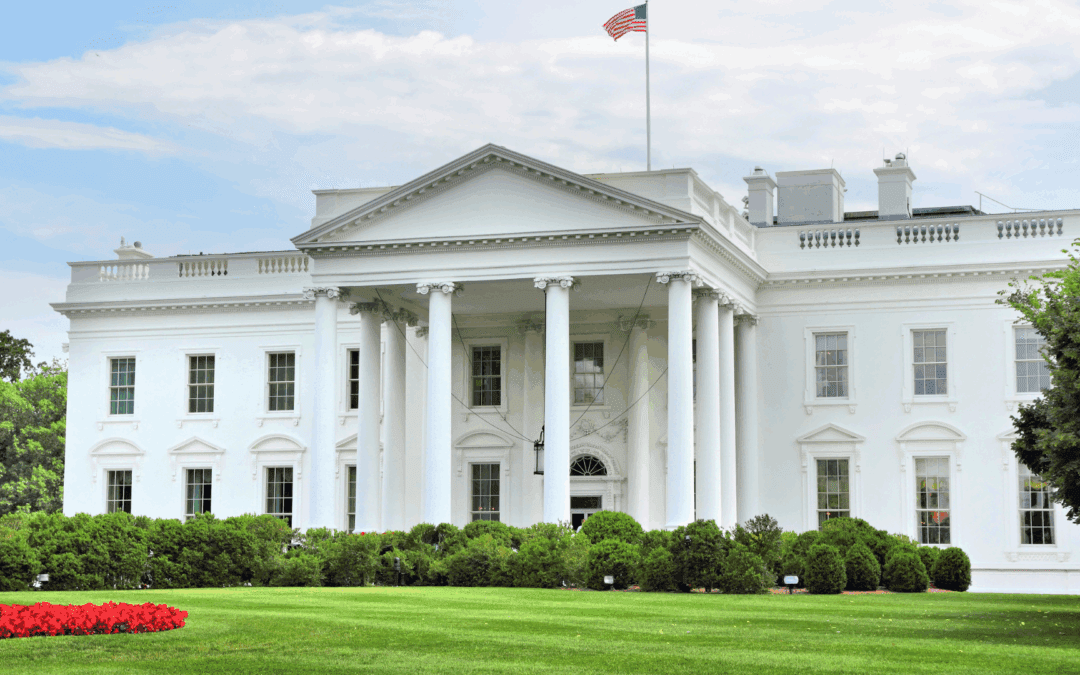 What Does Trump Have to Do With Buying Property on the Northern Beaches?