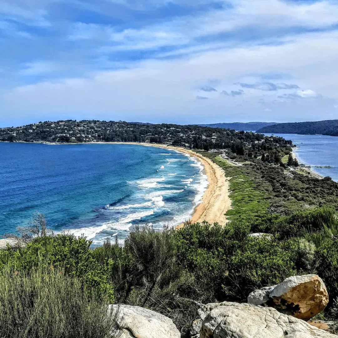 18 Barrenjoey Headland view with native plants and rocks – iconic Palm Beach property market vista