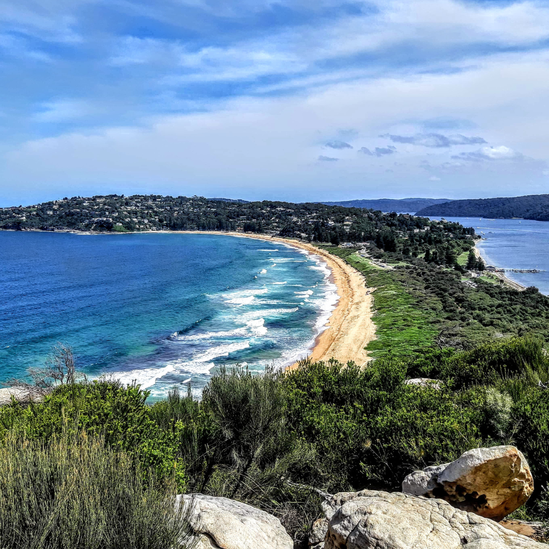 18 Barrenjoey Headland view with native plants and rocks – iconic Palm Beach property market vista