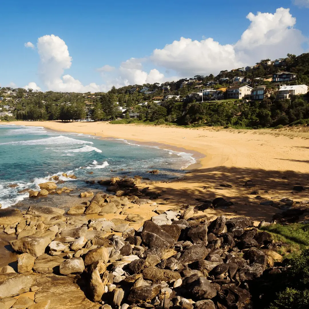 23 A sweeping view from the North Headland looking south over Whale Beach, showcasing luxury homes nestled in lush greenery and the crescent-shaped shoreline meeting turquoise ocean waters