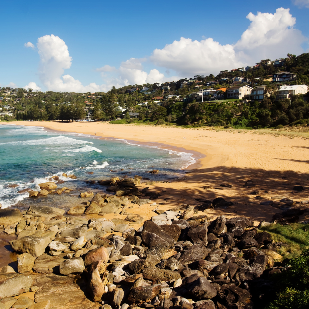 23 A sweeping view from the North Headland looking south over Whale Beach, showcasing luxury homes nestled in lush greenery and the crescent-shaped shoreline meeting turquoise ocean waters