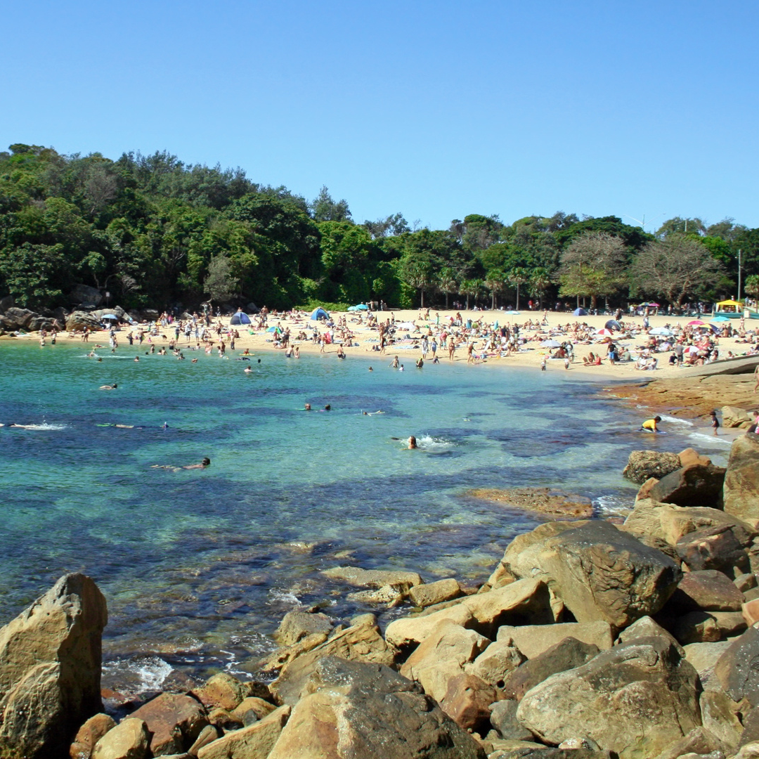 5 Shelly Beach swimmers seen from Manly – lifestyle drawcard for many a Manly property buyer.