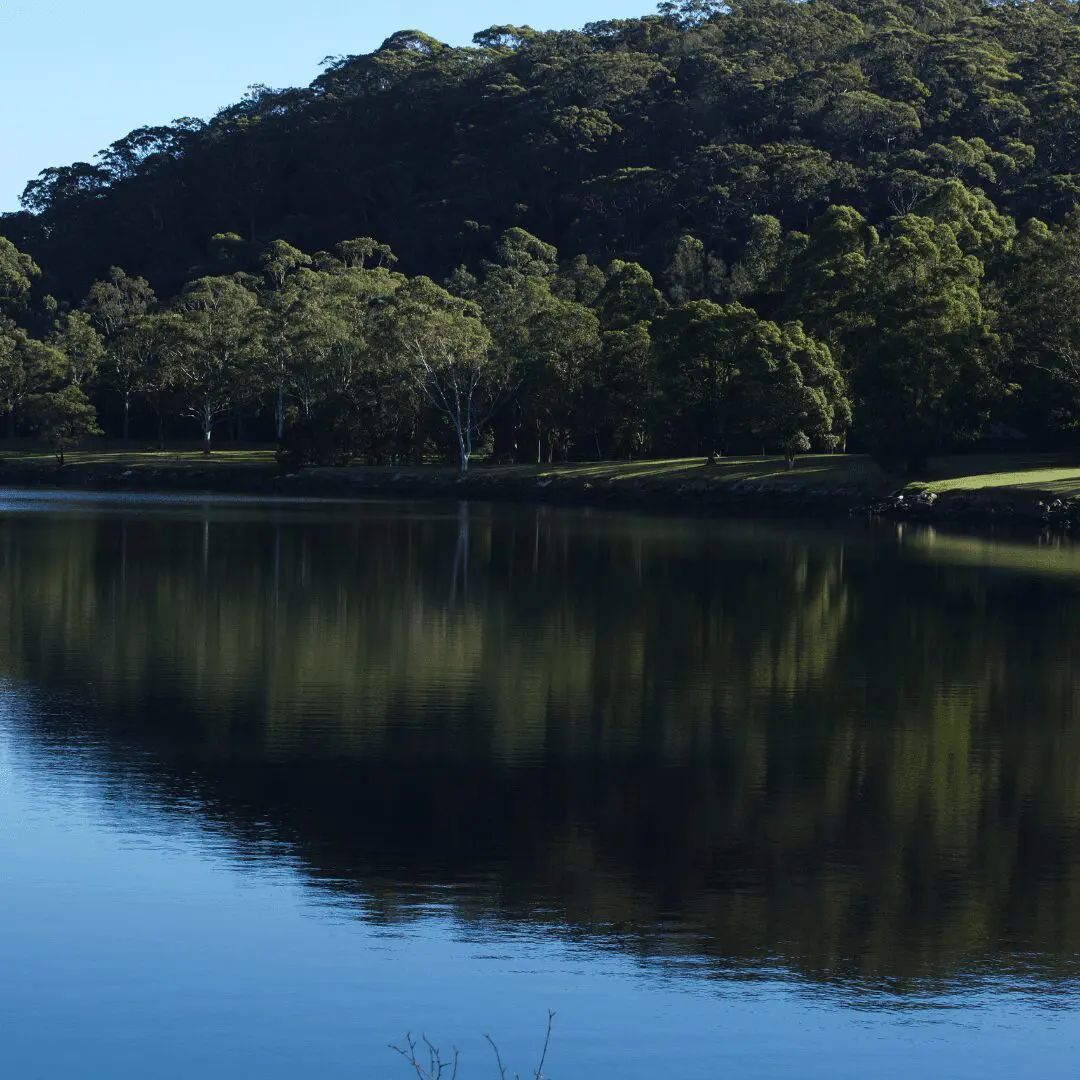 Tranquil view across the water toward natural bushland, with a lush, golf-course-like clearing at the shoreline – a serene Davidson scene.