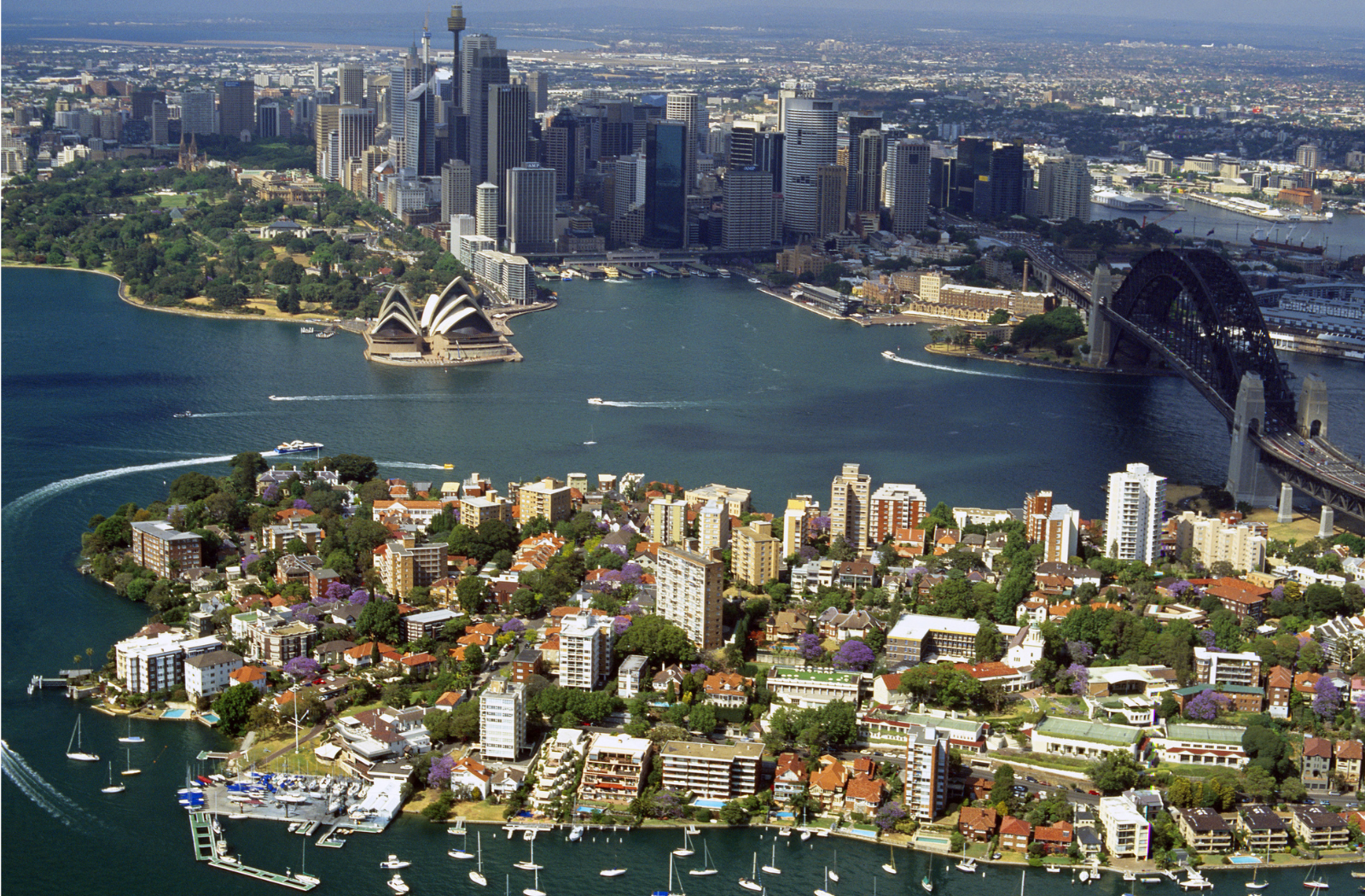 Aerial view of Northern Beaches homes, illustrating current property trends and limited housing supply in Sydney’s 2025 market