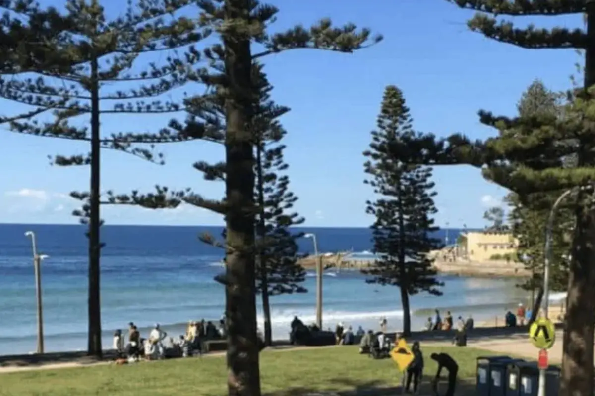 27 Dee Why a favourite spot for clients of Northern Beaches Buyers Agents