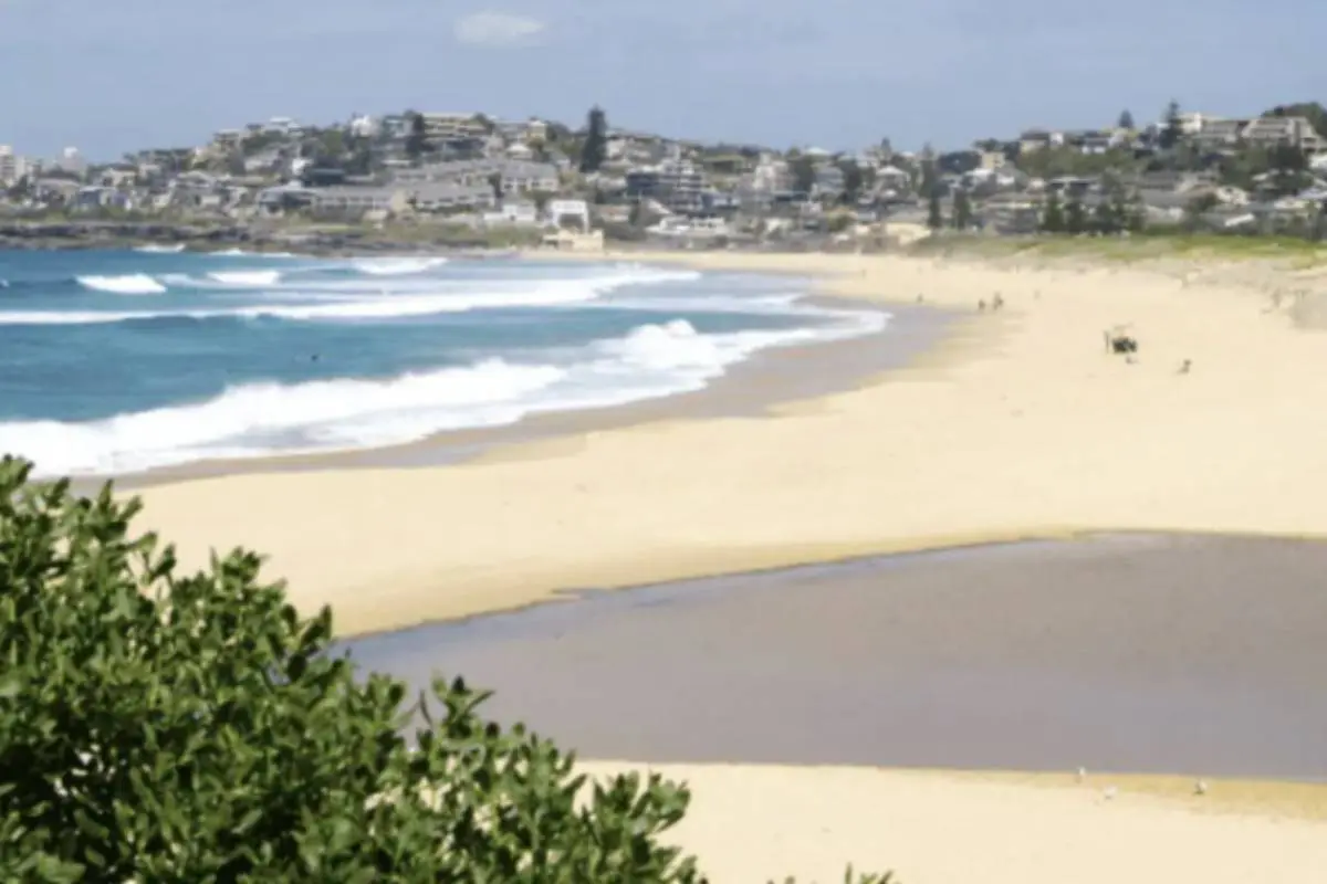 North Curl Curl a favourite for Northern Beaches Buyers Agents Clients