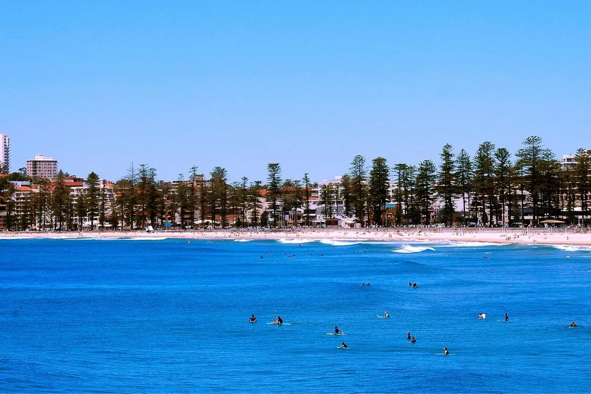37-northern-beaches-surfers-bluewater Surfers catching waves on a bright blue day – Northern Beaches Buyers Agent insight