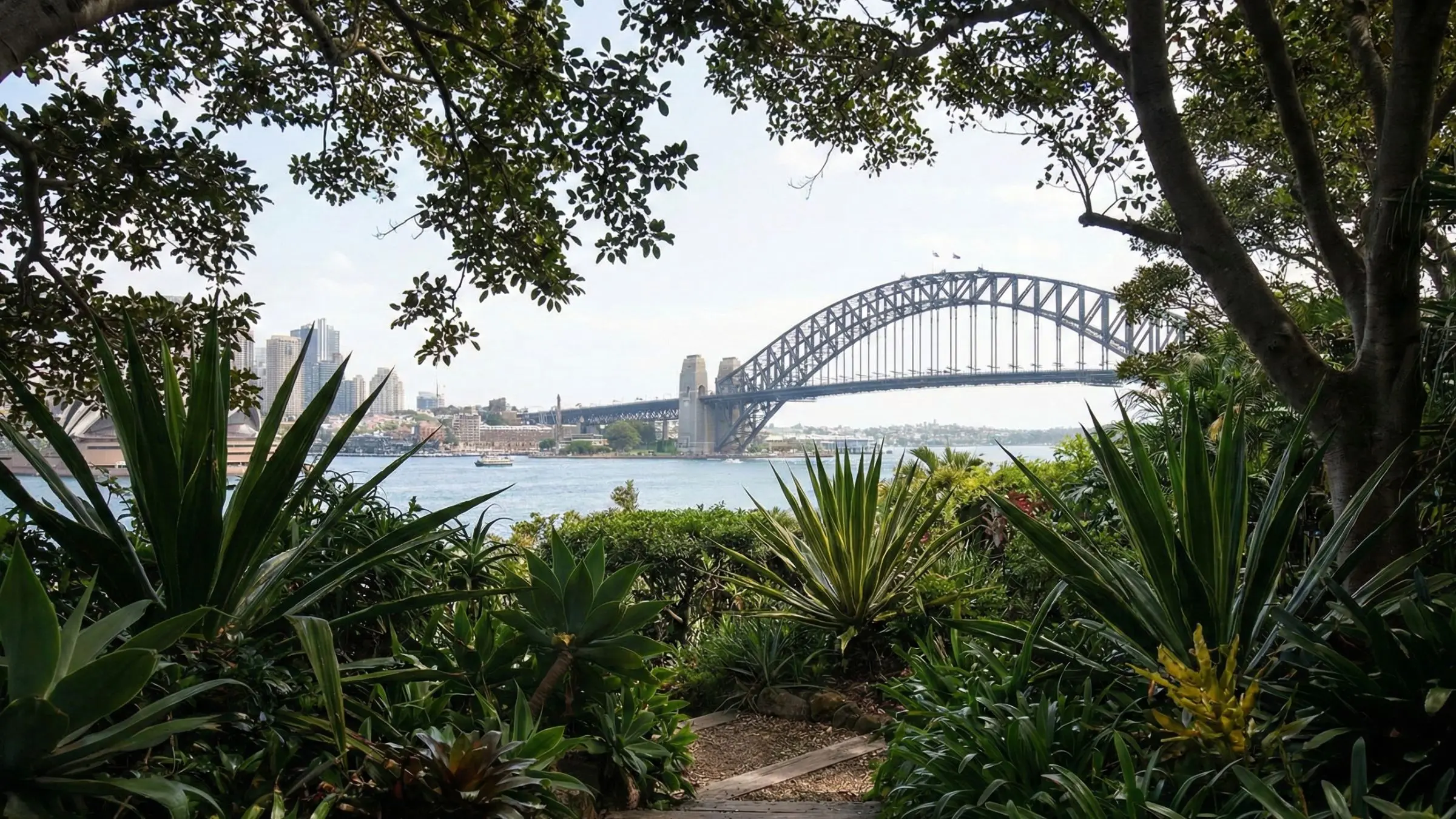 Tranquil harbour outlook from Wendy Whiteley’s Secret Garden, a key lifestyle driver for Lavender Bay property buyers