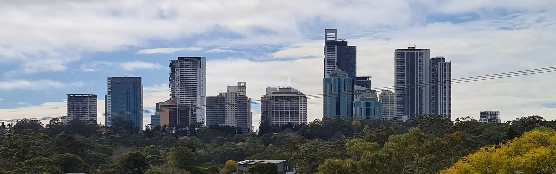 Chatswood apartment and office towers rising above a band of bushland under a cloudy sky