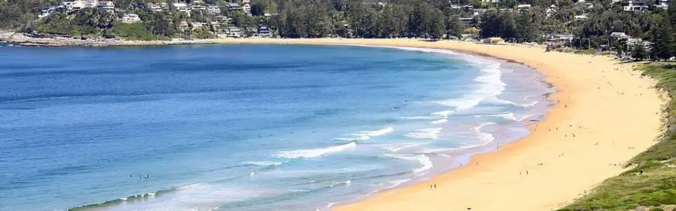 Palm Beach from the headland, looking along the sand to the homes on the hill