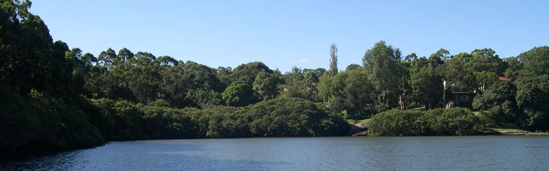 Tambourine Bay on the Lane Cove River at Riverview, with bushland along the shore
