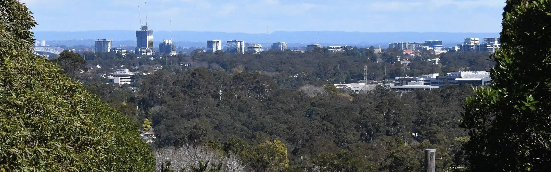 The view from Roseville across Lane Cove National Park towards Chatswood