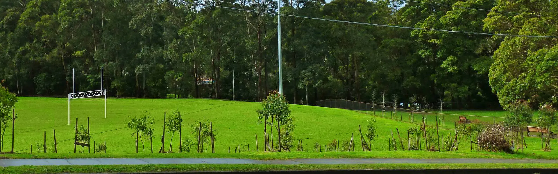 Bicentennial Park in West Pymble, with the bush of Lane Cove National Park behind