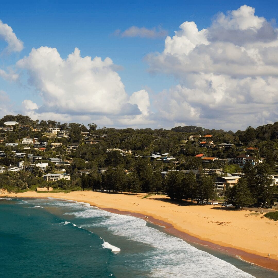 Elevated perspective of Whale Beach from the northern cliffs, highlighting architect-designed beach homes surrounded by native vegetation, overlooking pristine sands and open ocean.