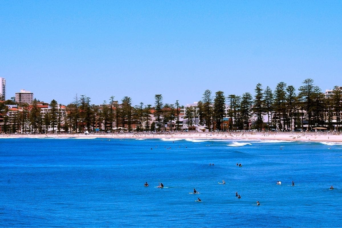 Surfers catching waves on a bright blue day – Northern Beaches Buyers Agent insight